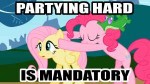 445227safepinkie252Bpiefluttershyanimatedimage252Bmacrogumm[...].gif