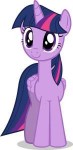 2c0a661e20b278cbbc9f488c169494ca--princess-twilight-sparkle[...].jpg