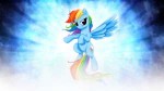 Rainbow-Dash-Backgrounds-004.jpg