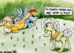 128066rainbow+dashapplejackshippingquestionablelesbianapple[...].jpg