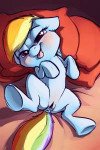 1306537 - FriendshipisMagic MyLittlePony RainbowDash carrot.jpg