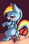 1306607 - FriendshipisMagic MyLittlePony RainbowDash carrot.jpg