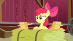 Pony1 (1).PNG