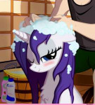 Rarity-mane-6-my-little-pony-фэндомы-1832468.png