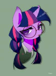 Twilight-Sparkle-mane-6-my-little-pony-фэндомы-4582898.png