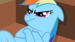 mlfw1817-92393-animatedgrumprainbowdash.gif