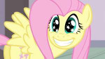 FluttershysmilingwithstarryeyesS4E14.png