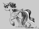 Twilight-Sparkle-mane-6-my-little-pony-фэндомы-3855746.png