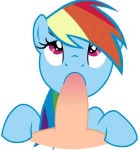 850020 - Friendshipismagic MyLittlePony RainbowDash animated.gif