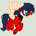 ladybug.png