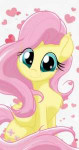 2028190 fluttershybytheroyalprincessesdd5wl1n.jpg