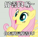 1522585safefluttershyanimatedchinesegif.gif