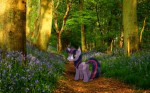 407201safesolotwilight+sparklephotoponies+in+real+lifefores[...].png