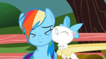 128507safefluttershymitsyrainbowdashmaythebestpetwinanimate[...].gif