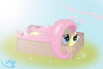 fluttershyinaboxbybugplayer-d678nwl.jpg