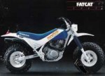 fatcat-20019871.jpg