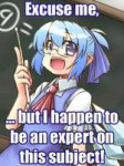 cirno-expert.jpg