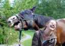 girl-and-horse-laughing.jpg