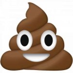 PoopEmoji7b204f05-eec6-4496-91b1-351acc03d2c7grande.png