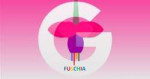 Google-Fuschia-Operating-System.jpg