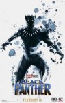 Black-Panther-3117101.jpg