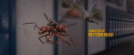 Ant-Man.and.the.Wasp.2018.BluRay.1080p.Rus.Eng.TeamHD-CHD.m[...].jpg