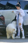 ariel-winter-arriving-at-the-vet-in-studio-city-11-05-2018-8.jpg