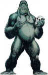 grodd.jpg