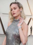 brie-larson-oscars-2019-red-carpet-2.jpg