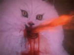 hausu4.gif