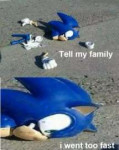 sanic.jpg