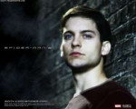 spiderman peter parker movie posters tobey maguire spiderma[...].jpg