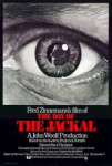 DayoftheJackal1973Poster.jpg