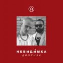 nevidimka - dvorniak - cover