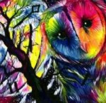 b34213010529c139d2191b7e643462fa--trippy-stuff-colorful-owl.jpg