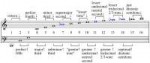 Harmonicseriesintervals.png