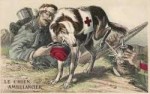 ww1-c-284-mercydog.jpg.jpg