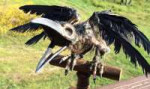 raven-skeleton-prop-on-a-rustic-wooden-perch.jpg