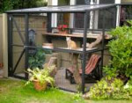 catio-cat-enclosure-enrichment-safety-catiospaces-1024x805.jpg