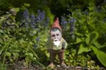 1435336970-garden-gnomes.jpg