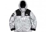 Supreme-The-North-Face-Metallic-Mountain-Parka-Silver1800x.jpg