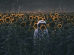 Incognito by Denise Kwong.jpg