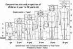 ProportionChild1-10.jpg