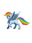 rainbow dash ohne hint.png