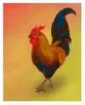 Rooster.png