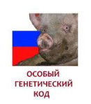 ОГК.png