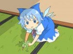 cirno-6.jpg