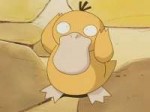 psyduck.jpg