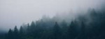 1260-fog.jpg