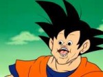 Goku-s-LOL-face-lol-37096204-500-375.jpg